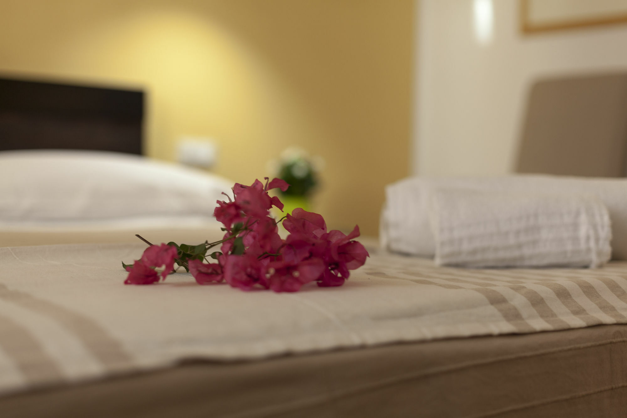 Piazza Marina Bed & Breakfast Palermo Dış mekan fotoğraf